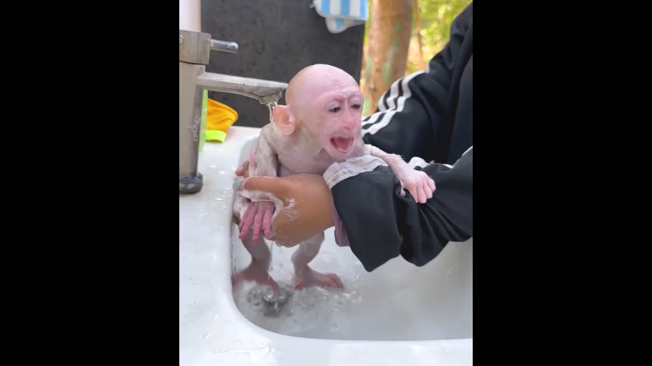 Please hurry, my mother is exhausted