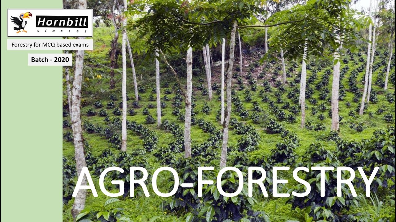 32. RPSC-ACF 2020  |  Agroforestry 2 (End)