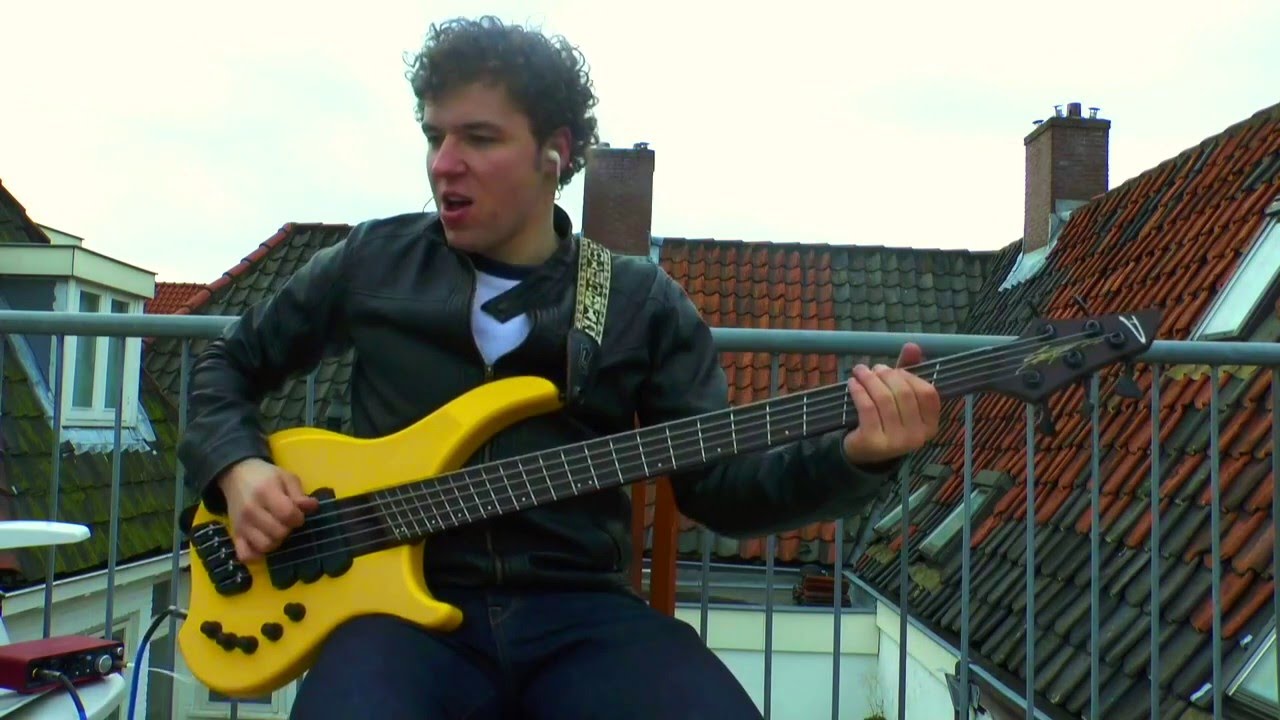 Periphery - 22 faces (Bass cover by Werner Erkelens)