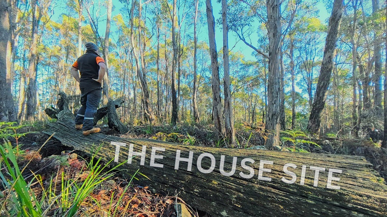 Finding The PERFECT Offgrid House Site On Our 100 Acres Of Tasmanian Wilderness! #offgridaustralia