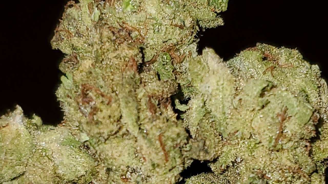 TAHOE COOKIES STRAIN WAKE AND BAKE STYLE