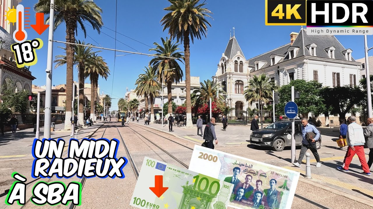 Pédaler sous les rayons d’or de Bel Abbès 18°🌞🚴‍♂️TAUX 1€=⬇️256 DA #333 #sidibelabbes #سيدي_بلعباس