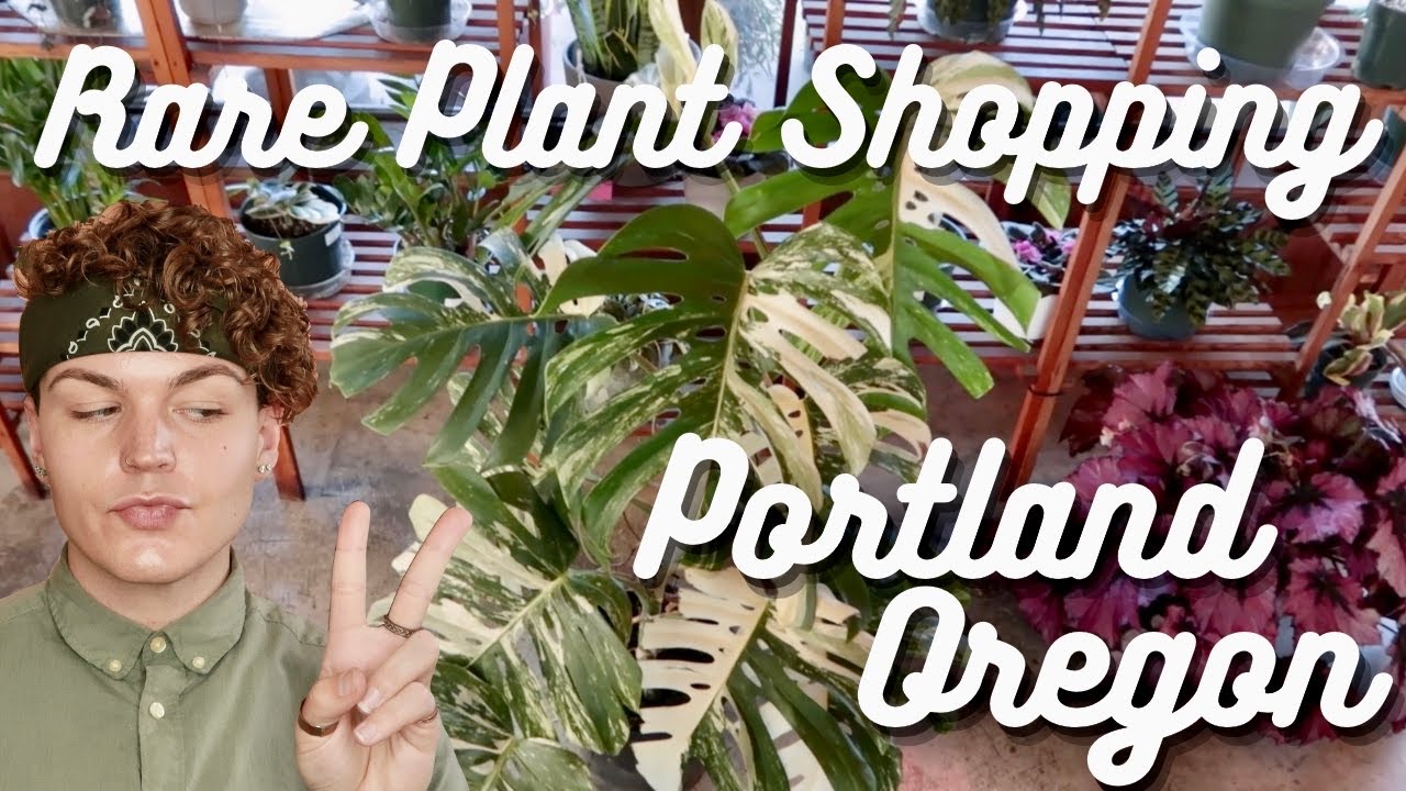 Rare Plant Shopping in Portland Oregon