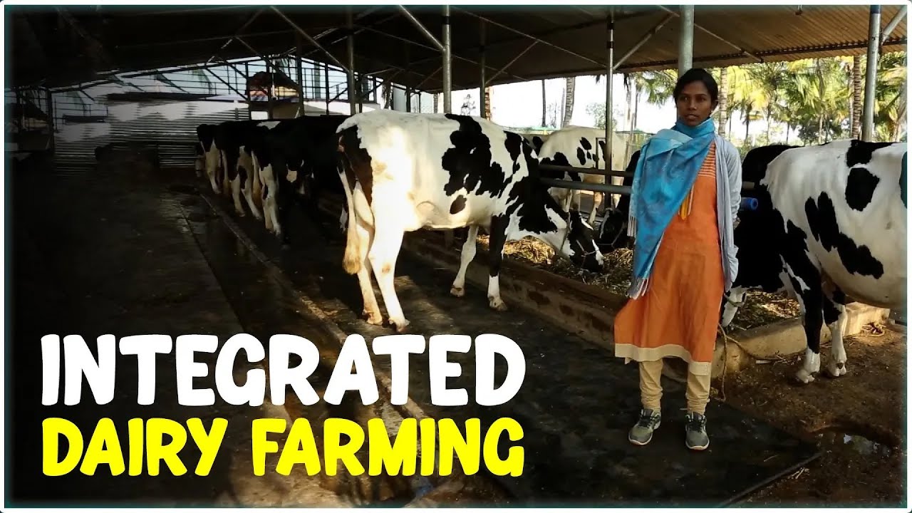 Integrated Dairy Farming - Success Story