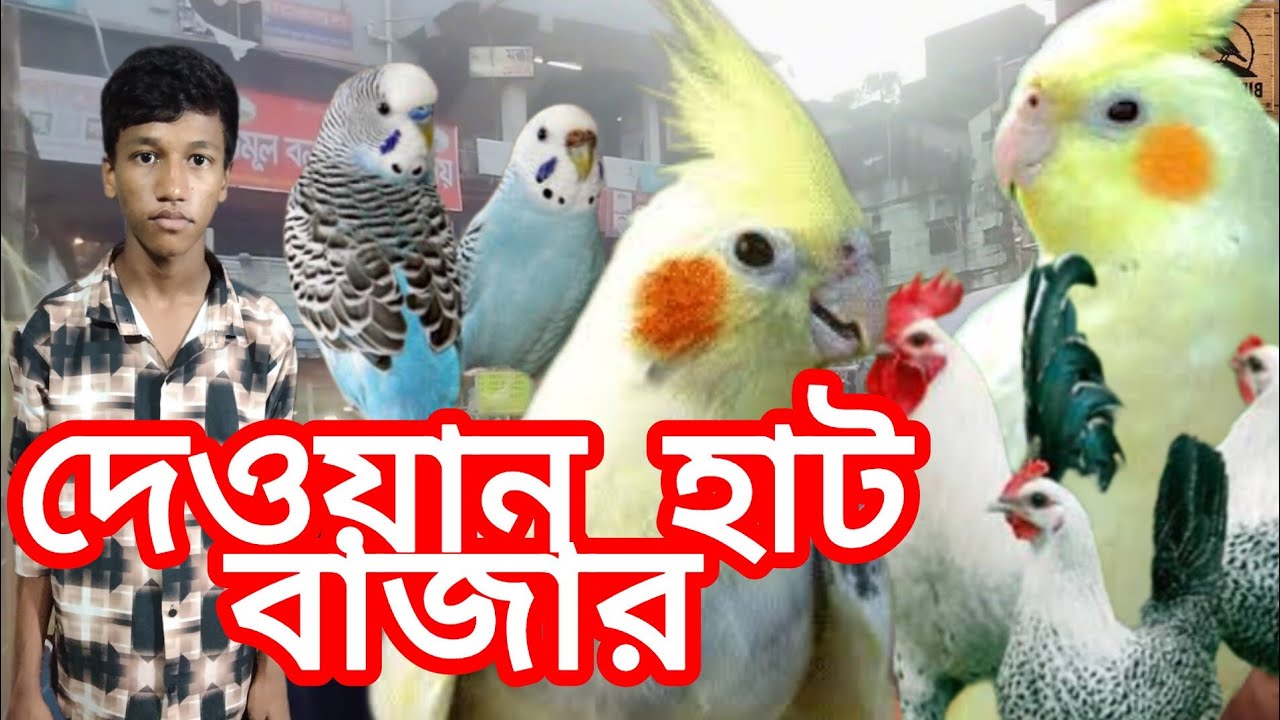 চট্টগ্রামের ঐতিহ্যবাহী পাখির বাজার। Birds Hill