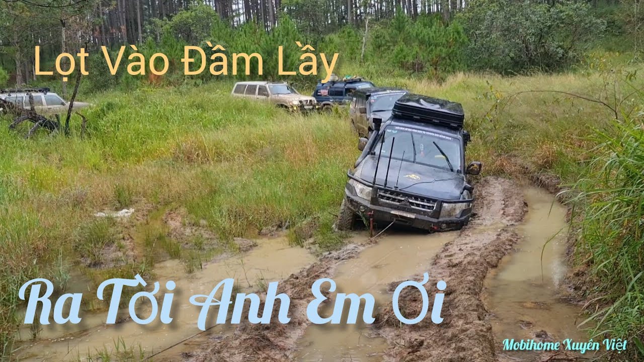 Đội Cầu , Đội Bụng , Hỏng 4 Chân....Đi Sao Đây ? @mobihomexuyenviet1671 