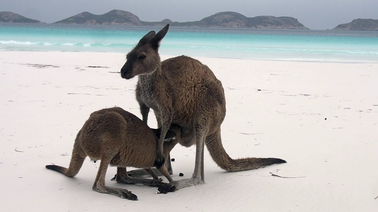 ESPERANCE // Western Australia