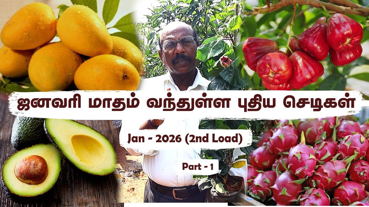 🤯 January 2nd Load Update | Rare Flowers & Mango Varieties for Home & Farm 🌱🏡