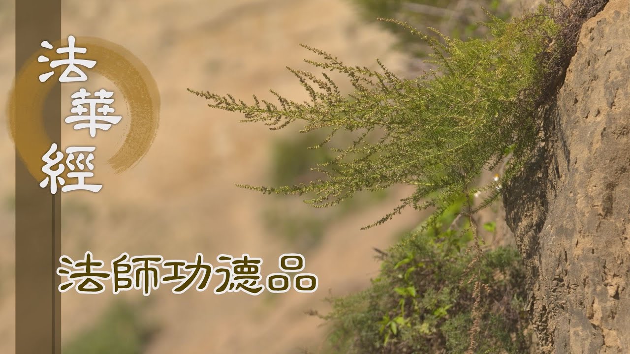 【靜思妙蓮華】法華經 法師功德品 - 苦樂之境 悉於身現 - 第1707集 20240627