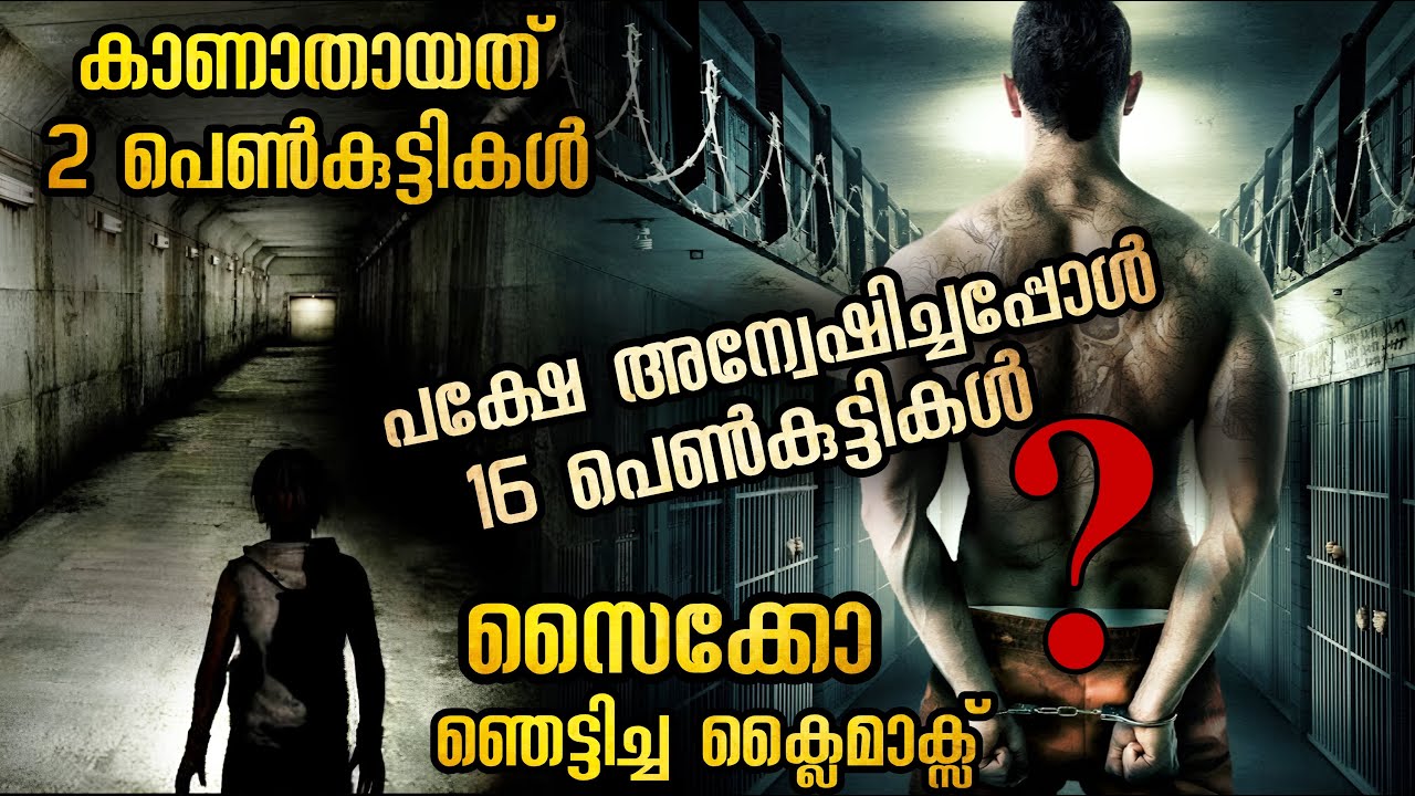 സൈക്കോ ആരാണെന്ന് അറിഞ്ഞപ്പോൾ ഞെട്ടിപ്പോയി🥵🥵🥵 ഗംഭീര ക്ലൈമാക്സ് @malluexplainer185