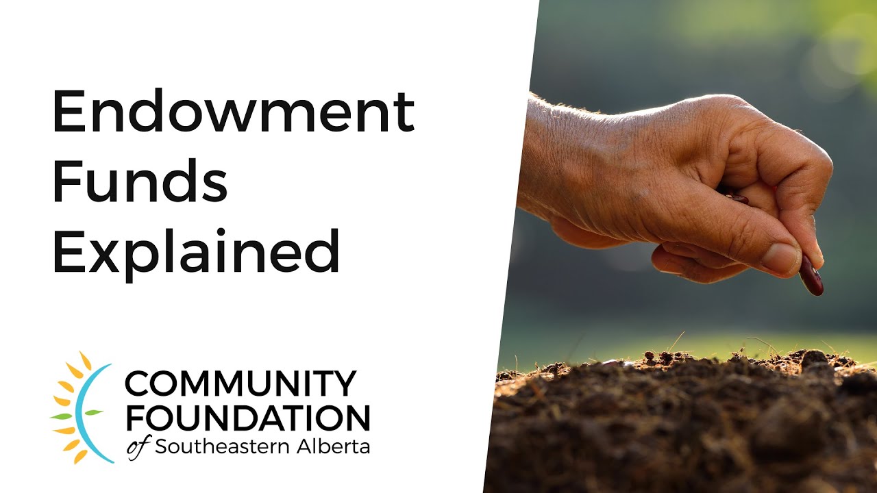 Endowment Funds Explained