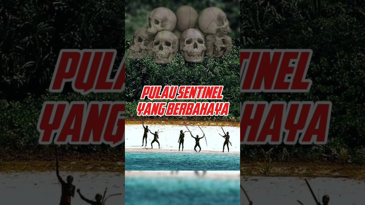 suku Sentinel #taukahkamu #faktamenarik #faktaunik #suku #sentinel #ceritamenakutkan #pulauberbahaya
