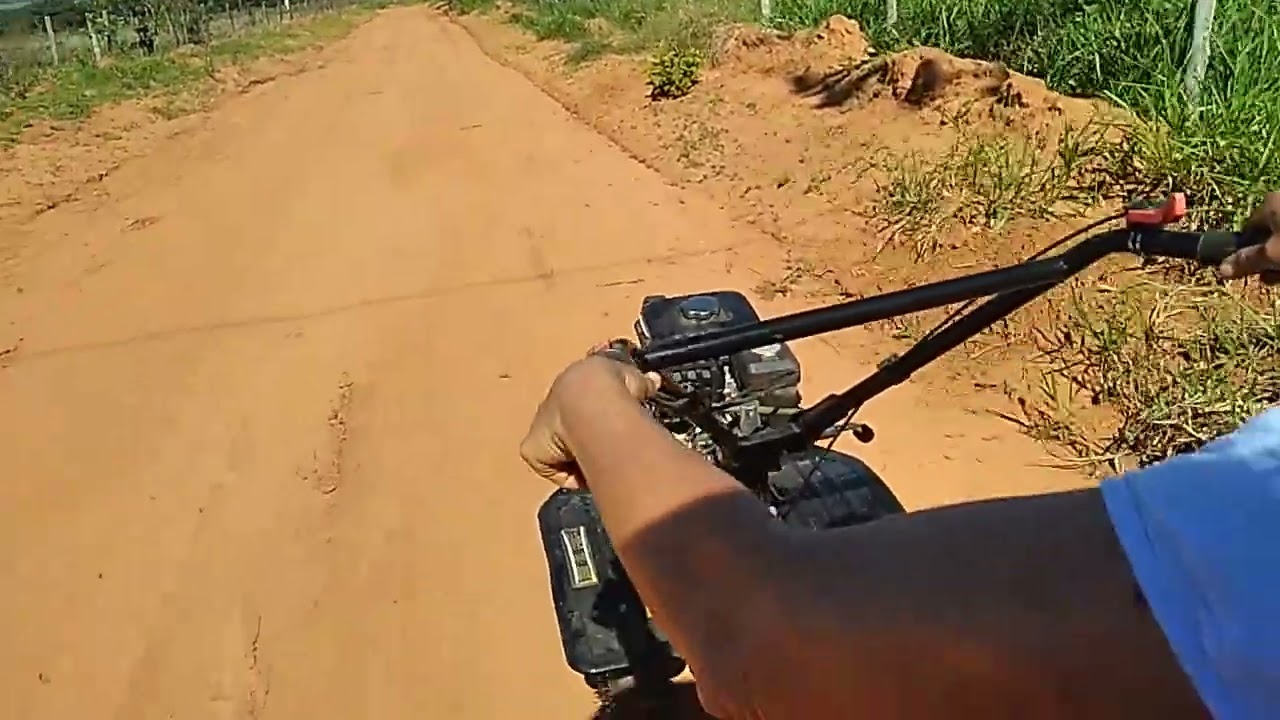 Vivendo e aprendendo. 
