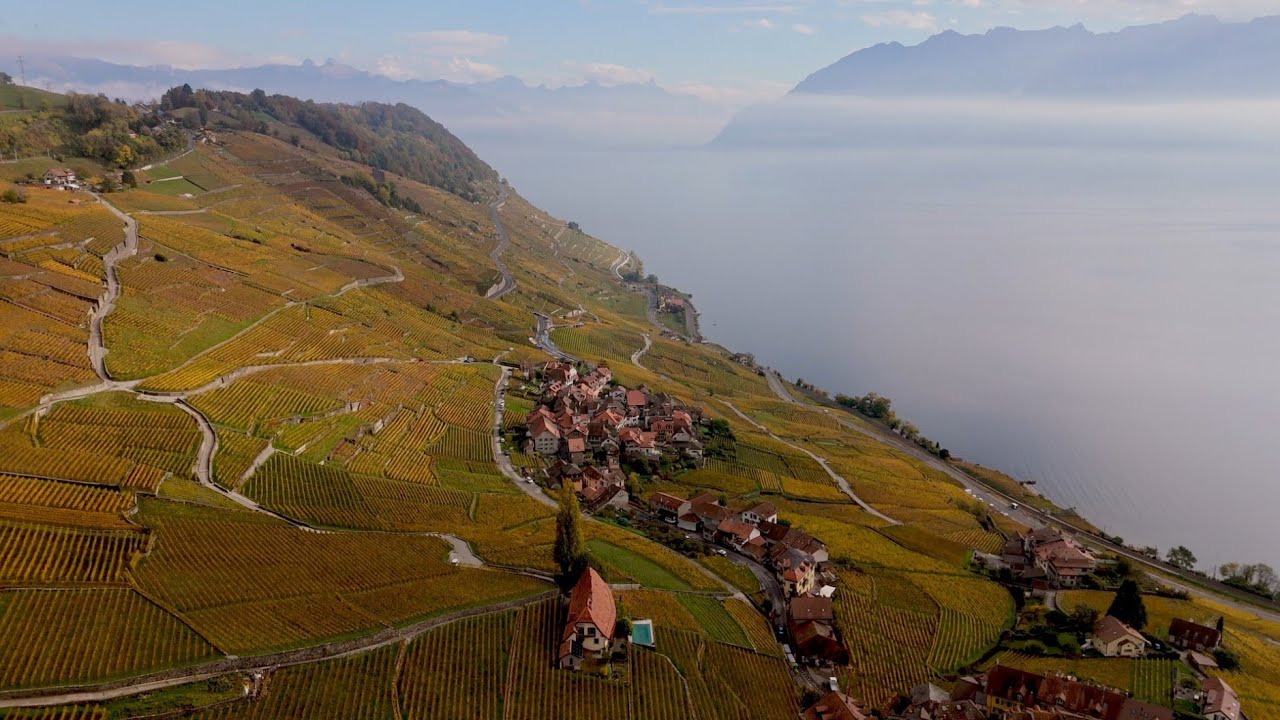 Montreux Riviera Automne 25 - 1
