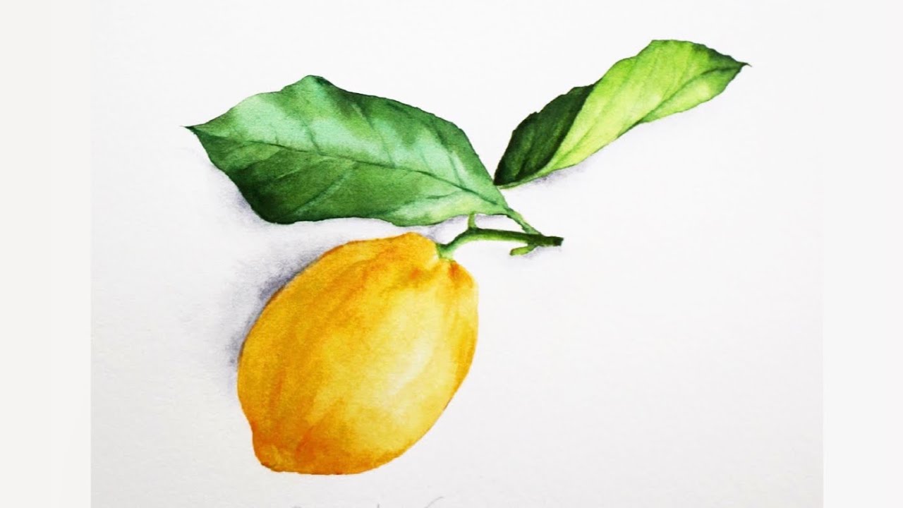 [베리현 수채화] 🍋 레몬 그리기 | Watercolor painting | Watercolor flower | Watercolor tutorial | lemon 🍋