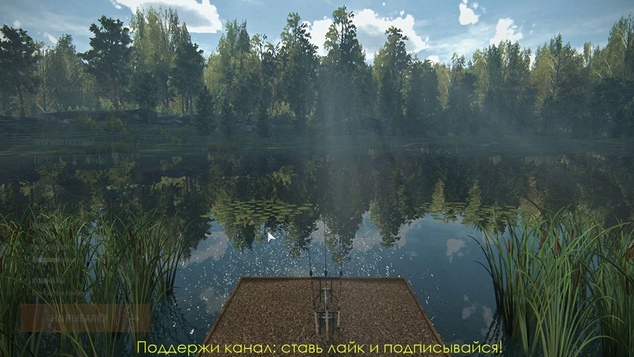 Fishing Planet.Основы фидерной ловли.