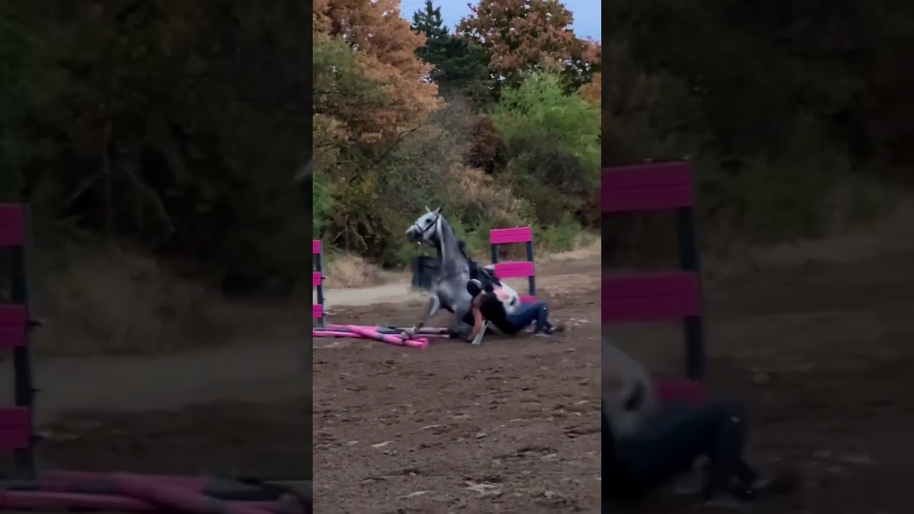 He tried to protect her 🥺#protection #protective #heartwarming #horses #jumping #accidentshorts