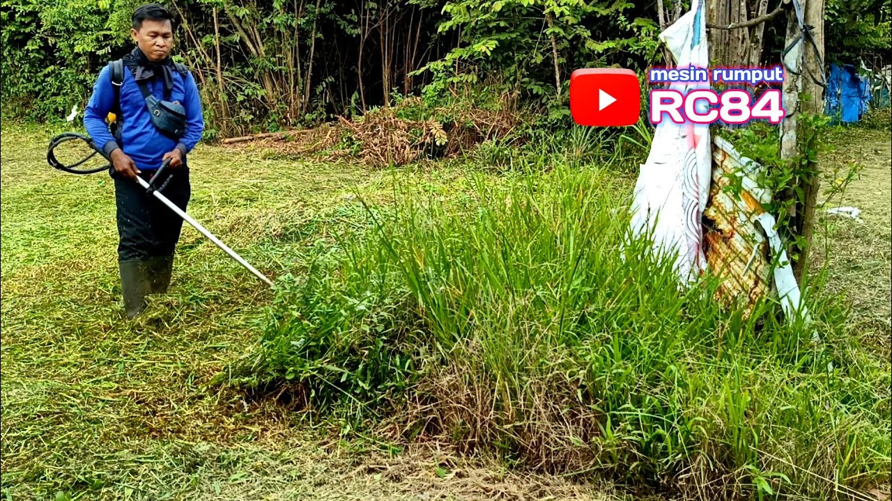 Potong Rumput di halaman rumah kontrakan milik pelanggan karena rumputnya sudah banyak yang semak