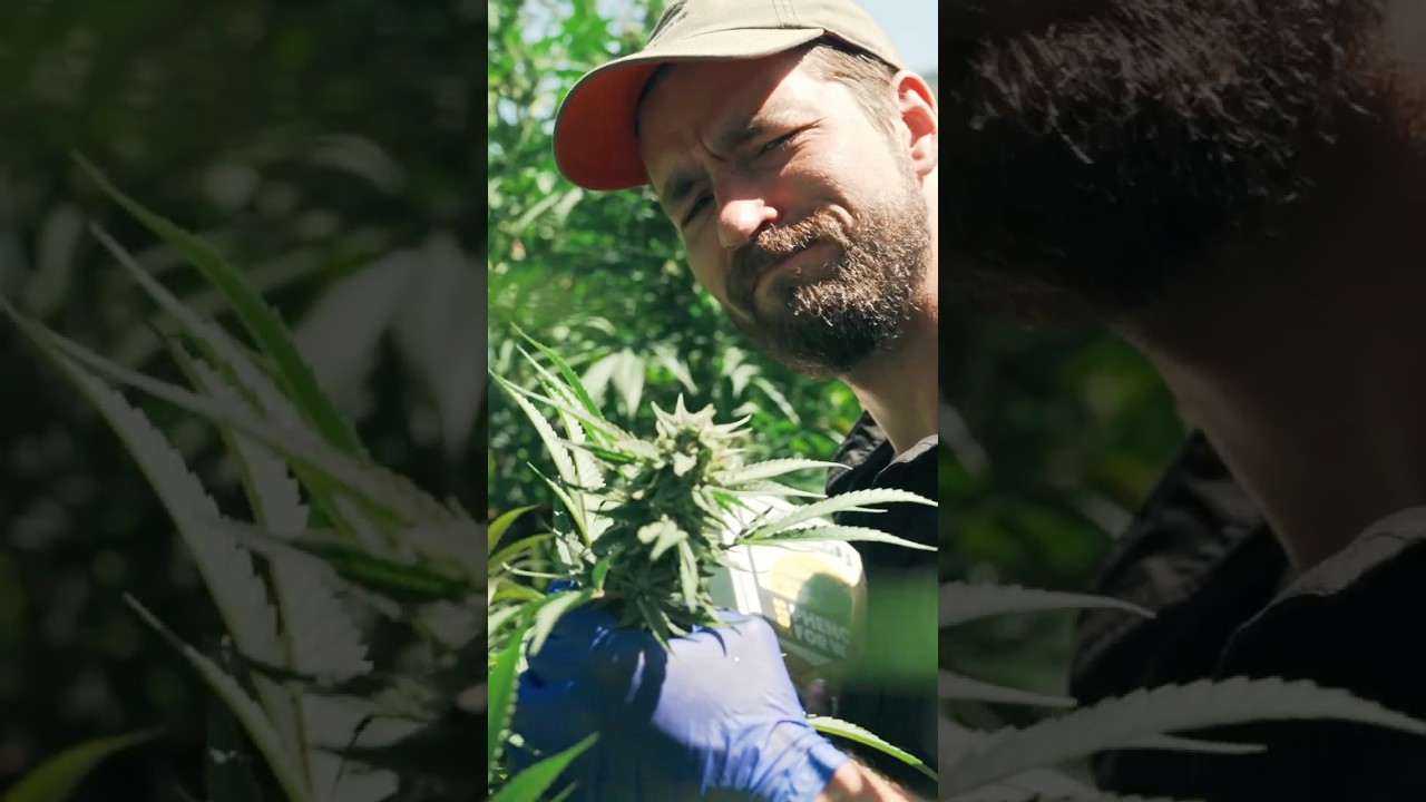 🔥 Exploring the Future of Genetics in California