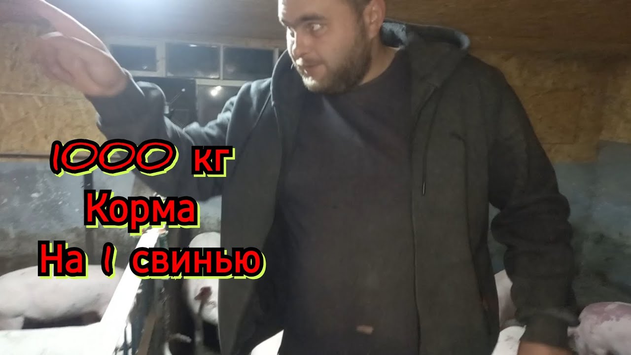 Кормление без химии на много вигодней❗️ Делайте так и останетесь без трусов, парьте дальше❗️❗️❗️❗️