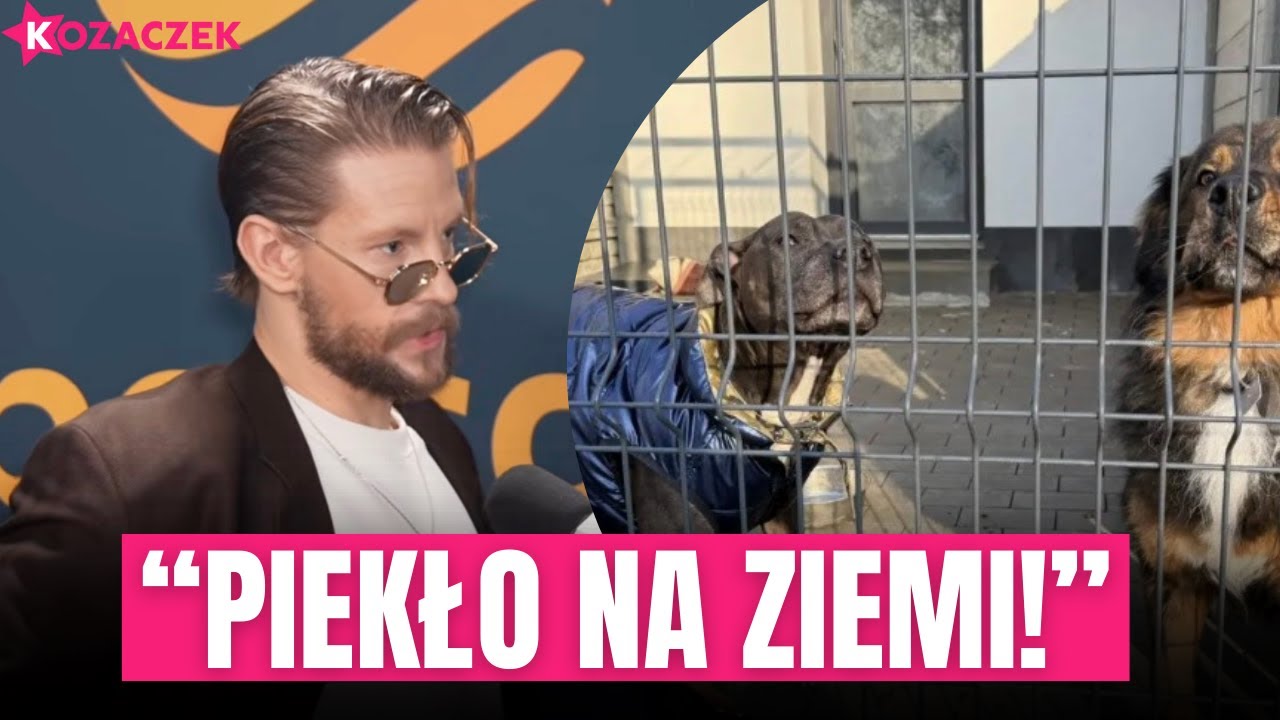 FABIJAŃSKIEMU PUŚCIŁY NERWY! ODPALIŁ SIĘ NA SCHRONISKA W POLSCE!