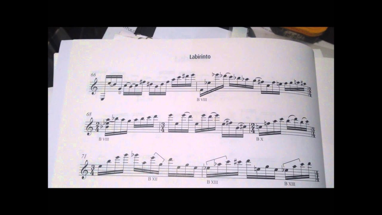 Labirinto (José Peixoto)