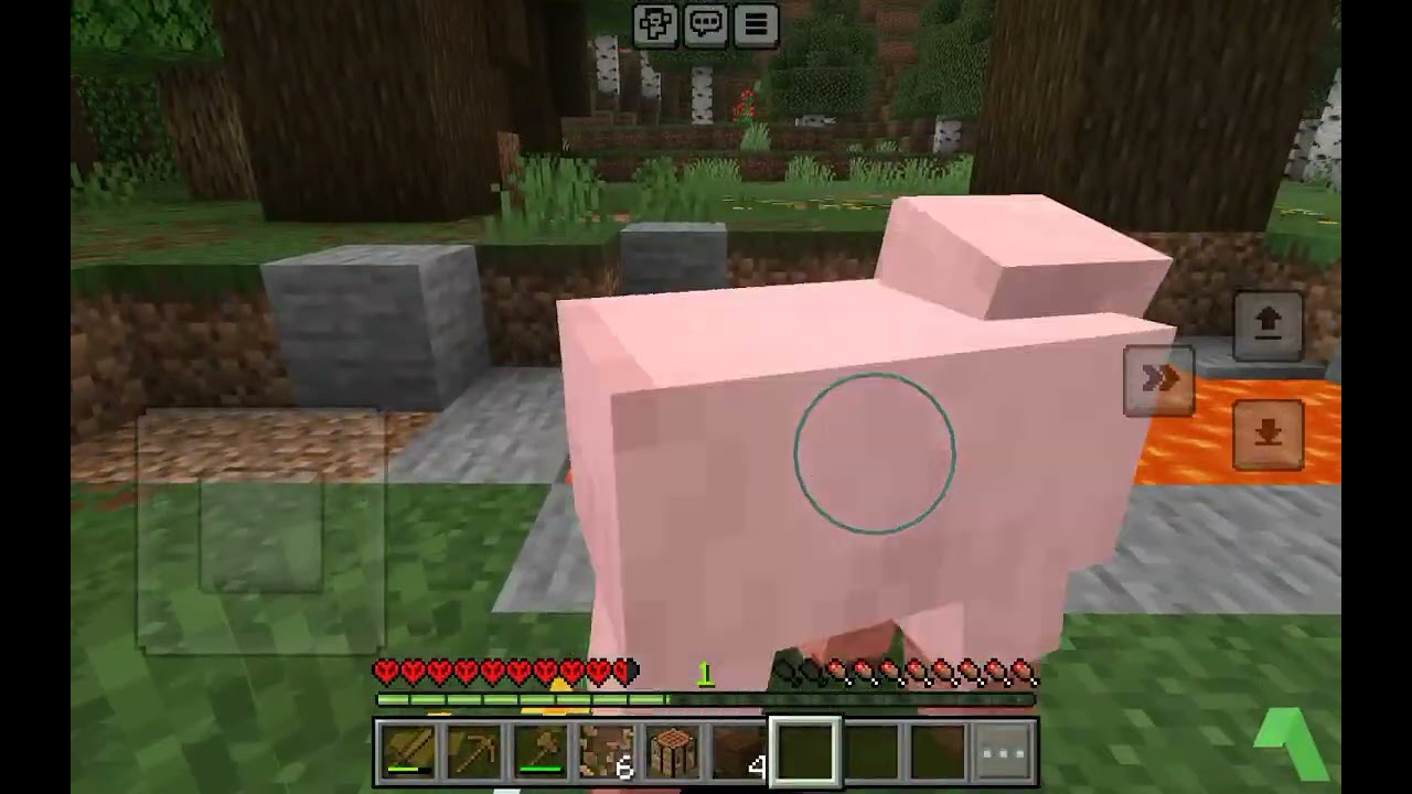 ١ مارس، ٢٠٢٦