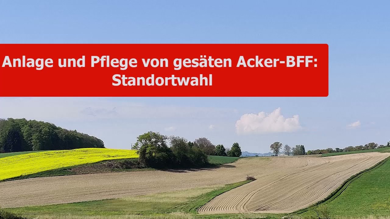 Standortwahl f&uuml;r ges&auml;te Biodiversit&auml;tsf&ouml;rderfl&auml;chen (BFF) im Ackerland