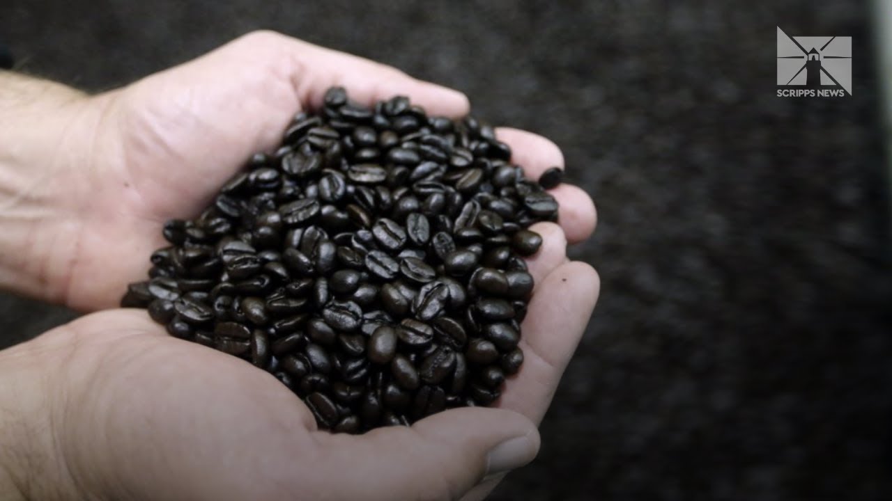 Trump cuts back tariffs on beef, coffee and other foods