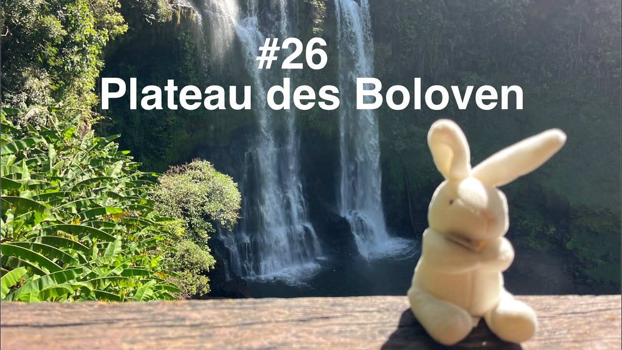 #26 Laos 🇱🇦 Plateau des Boloven 
