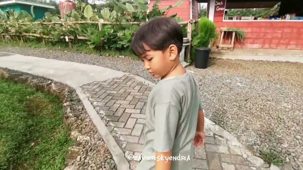 Kasih Makan domba di Menggala Ranch