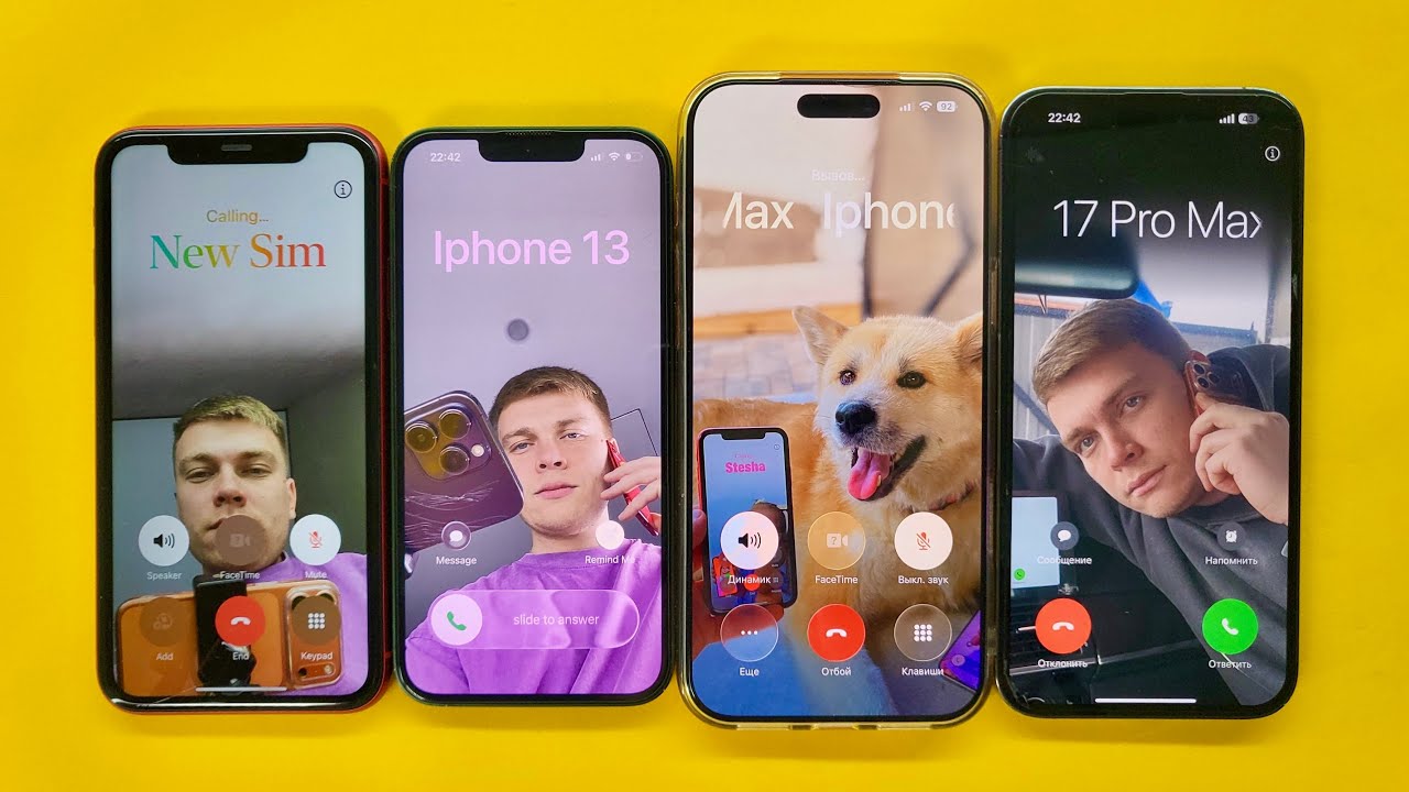 FaceTime Incoming Call dad Den vs Dog Max iPhone 11, 13, 14, 17 pro max 512gb