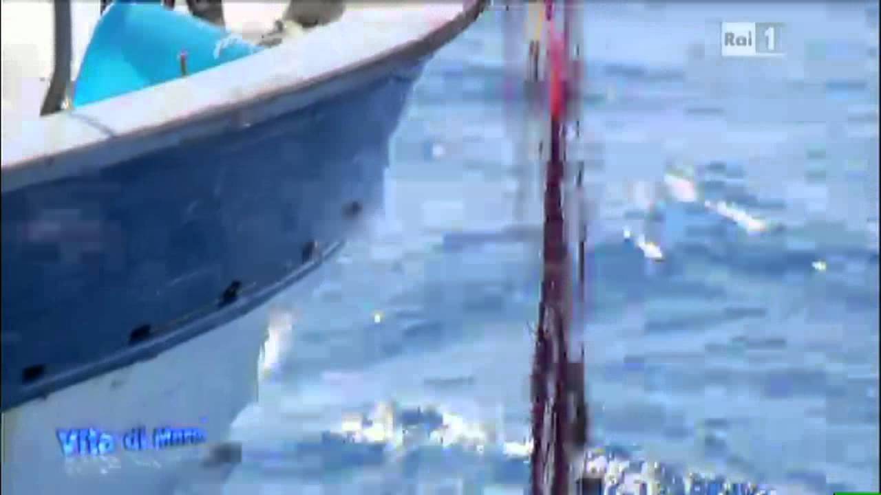Sardegna - Isola di Spargi a pesca tra vento e correnti