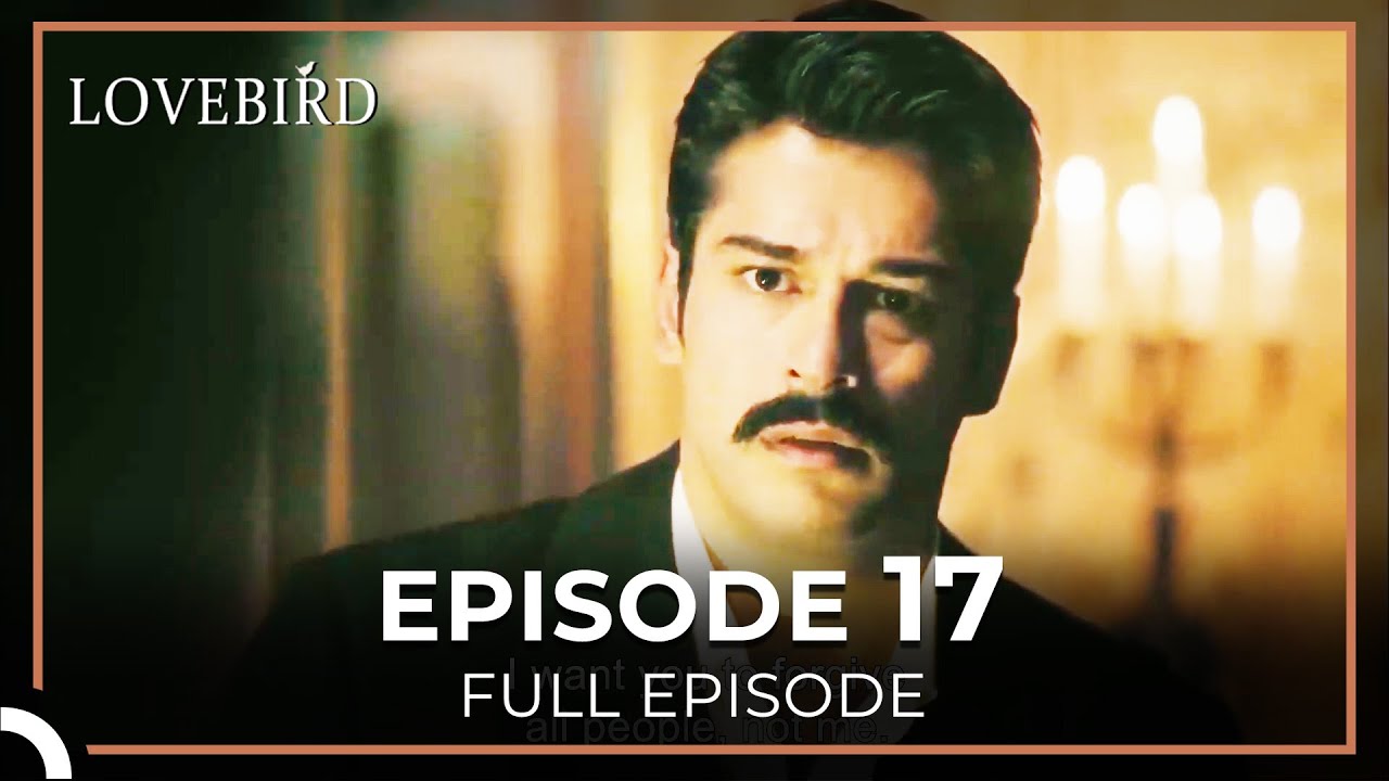 Lovebird Episode 17