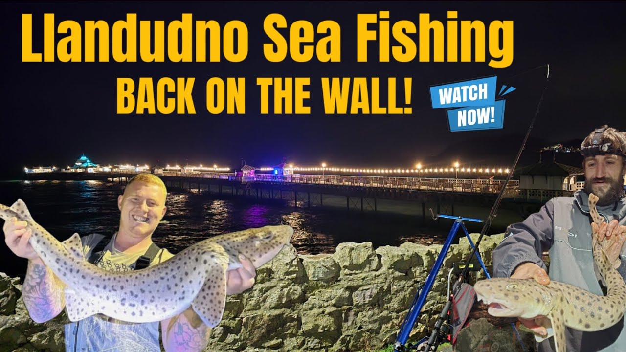 Llandudno sea fishing - Back fishing on Llandudno wall
