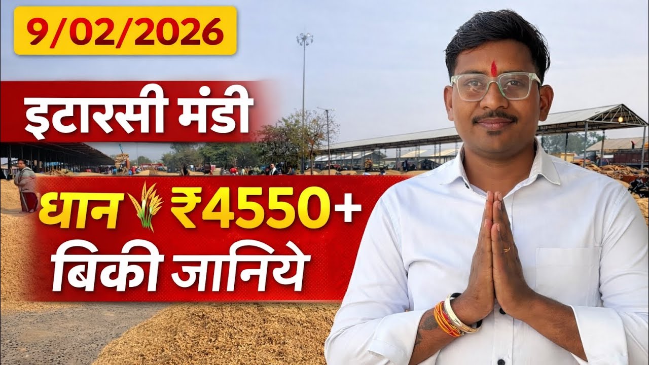 धान 🌾 ₹4560 se ऊपर भाव होंगे क्या आज || इटारसी मंडी #itarsimandibhav05 #paddyratetoday #mandibhav 