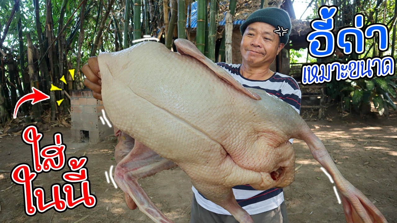 เป็ดตัวใหญ่ยักษ์!! เป็ดอบเตา1เดือน สูตรนี้อร่อยมาก ชุ่มฉำสุดๆ l SAN CE