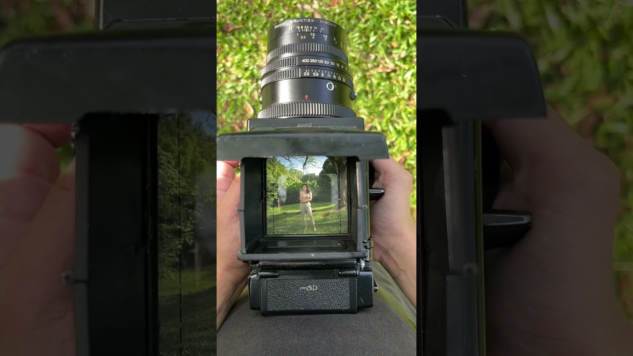 Shooting with a camera from the 70s Mamiya RB67