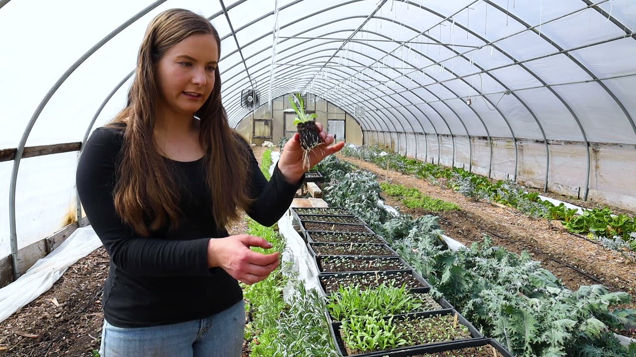 Seeding and Transplanting with Soil Blocks