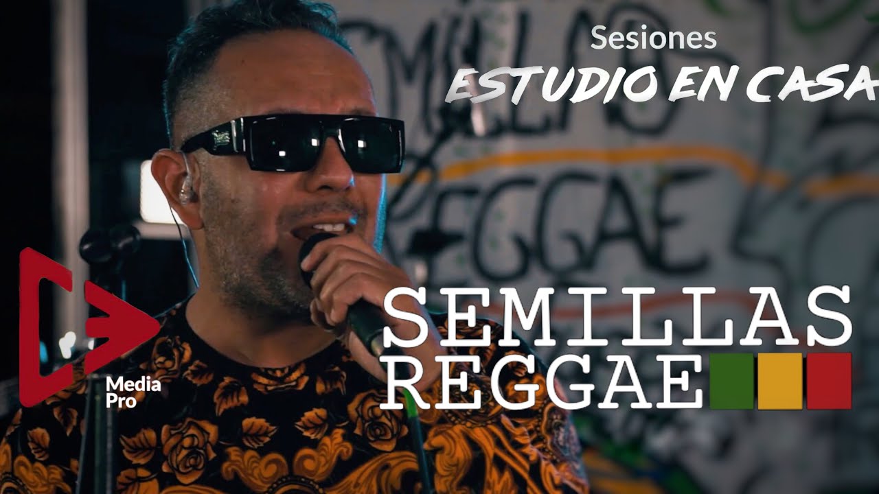 Fugitivo - En busca de tu Amor - Ay Amor - Semillas Reggae (Sesiones Estudio en Casa)