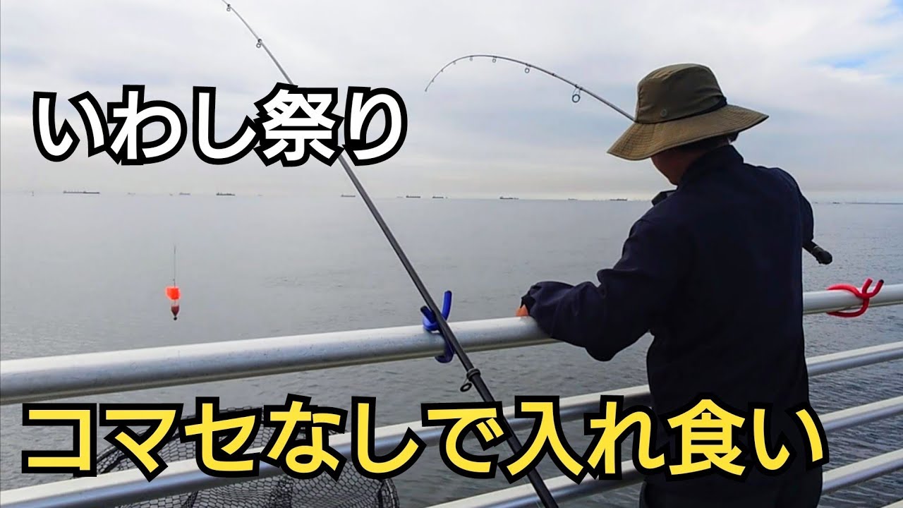 竿を上下に動かすだけ、昼間の堤防からコマセ無しでいわしが入れ食い！