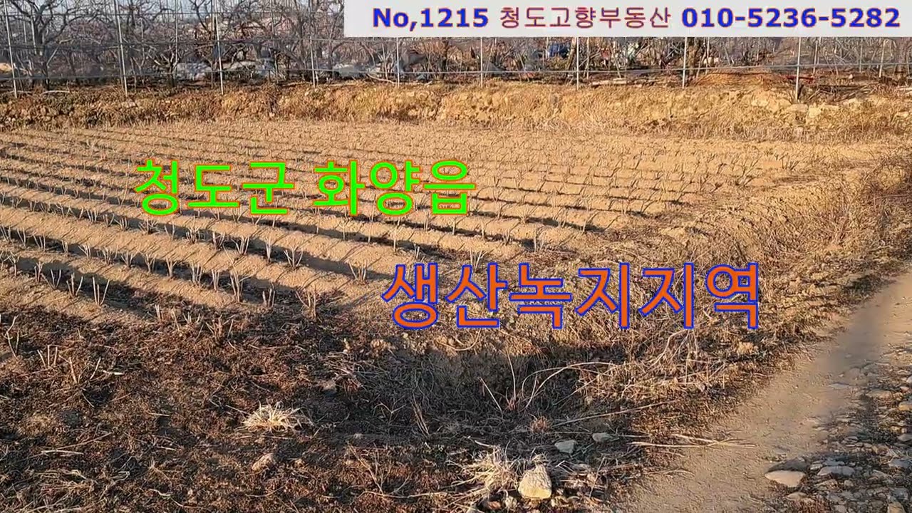 (1215)청도군 화양읍 생산녹지지역