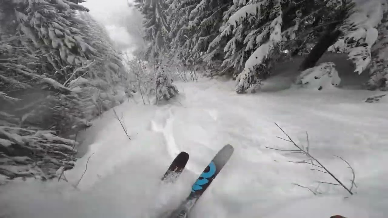POWDER DAY 17/02/2026