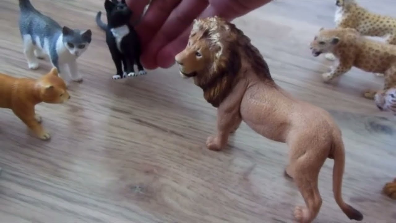 Serial schleich:Przygody w Stadninie 