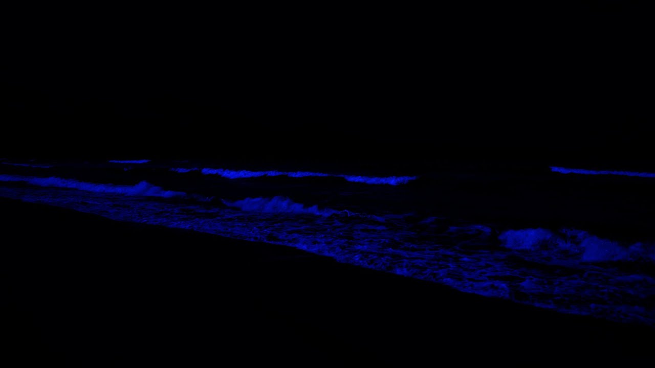 Relaxing Ocean Waves to Fall Into Deep Sleep • Reduce Anxiety, Support Melatonin • Stop Overthinking