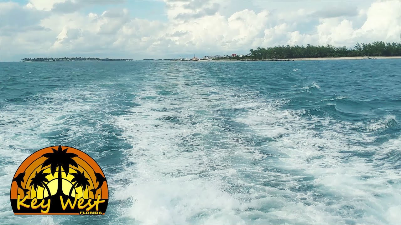 Key West Florida - Tropical Marine Life | Oakland Travel