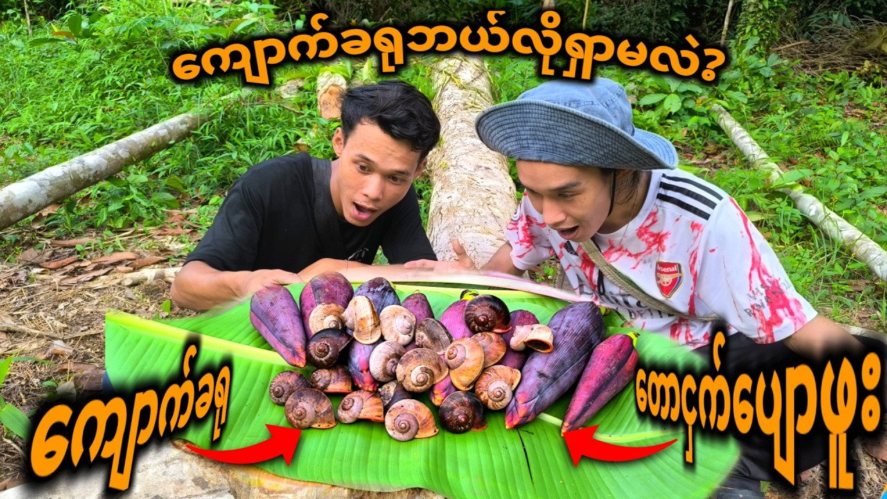 Catch a lot snails and wild banana flowers | 