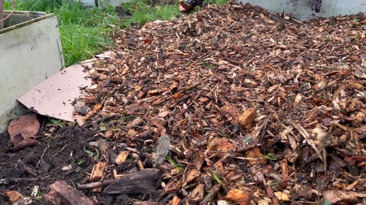 Moestuintip: Paden maken met houtsnippers volgens No - Dig methode in de permacultuur moestuin
