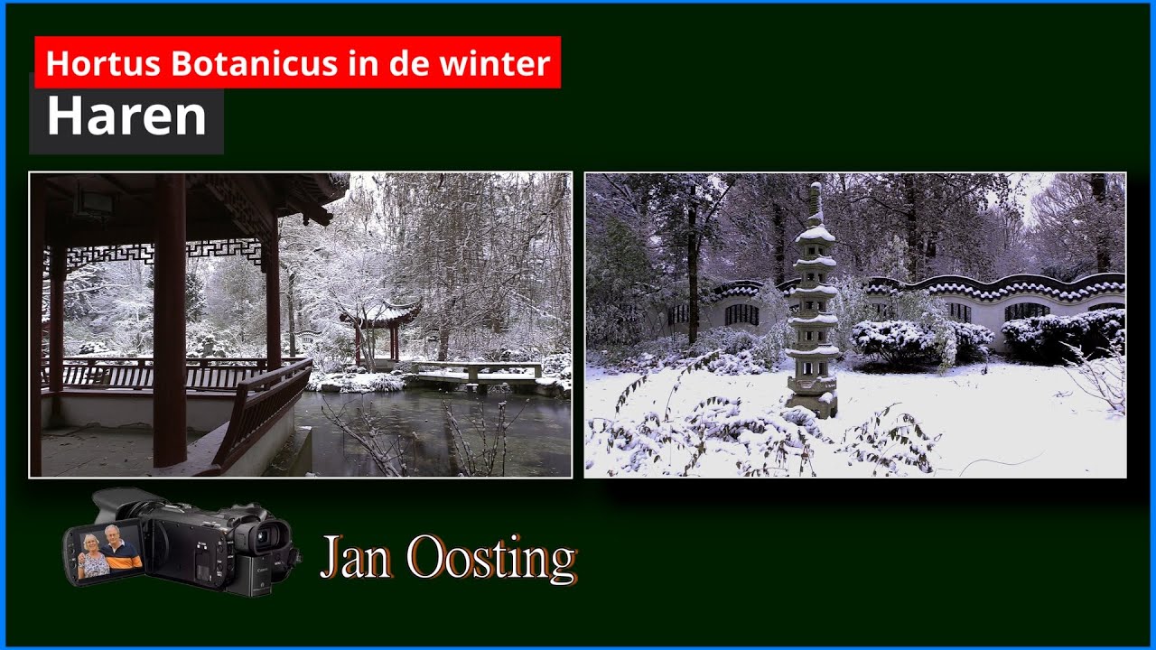 Hortus botanicus in Haren in de winter.