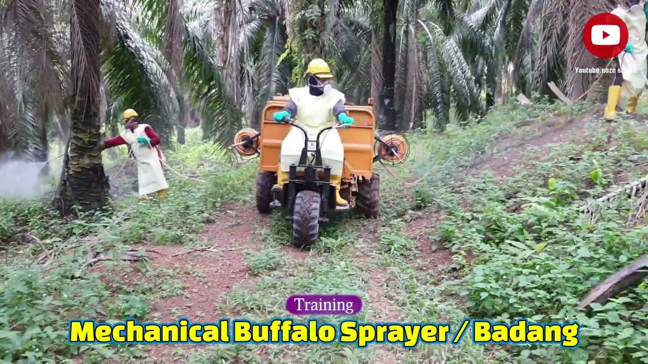 Mechanical Spraying Machine / Jentera Meracun / Mechanical Buffalo Spraying